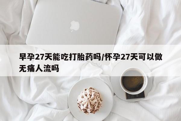 药流药联系微信早孕27天能吃打胎药吗/怀孕27天可以做无痛人流吗