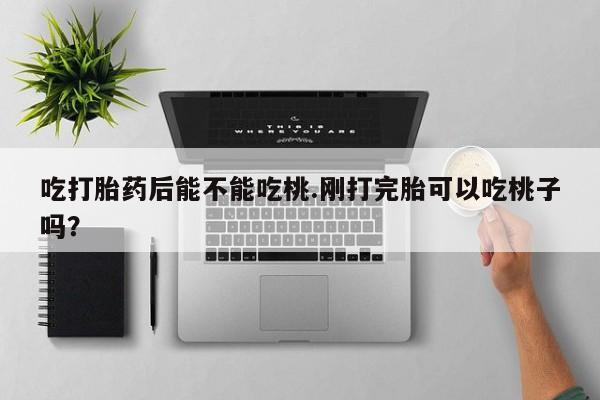 药流药联系微信吃打胎药后能不能吃桃.刚打完胎可以吃桃子吗？