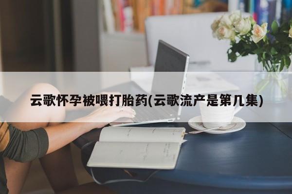 药流药联系微信云歌怀孕被喂打胎药(云歌流产是第几集)